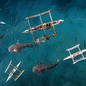 An aerial view of people swimming and paddling small outriggers among five whale sharks